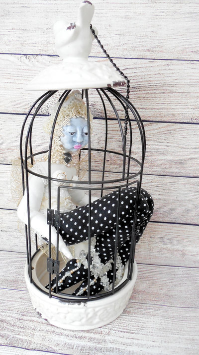 Butterfly and the Birdcage